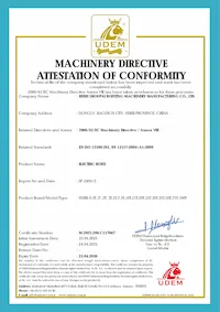 Electric Hoist CE Certification China