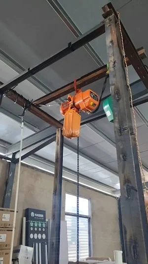 1 Ton Portable Gantry Crane with Electric Chain Hoist