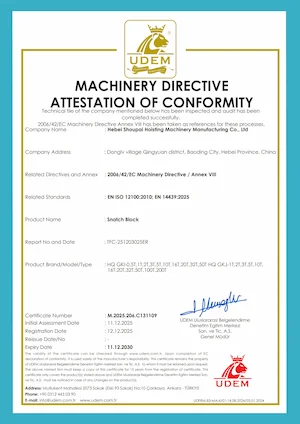 Pulley Block Trolley CE Certificate